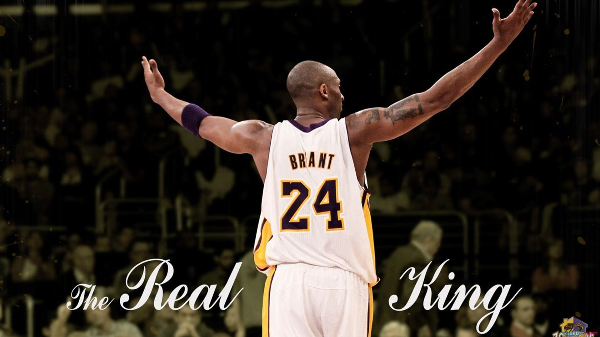 勇士队豪取多场胜利,志在冠军之巅,勇士队豪取多场胜利,志在冠军之巅